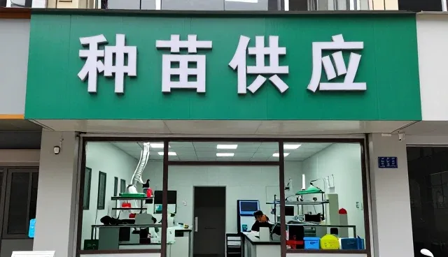 交通枢纽中使用种苗供应的优势分析